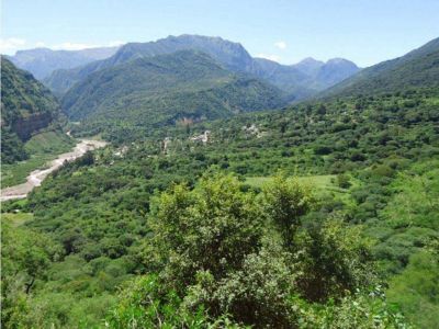 Entrega de fondos para bosques nativos