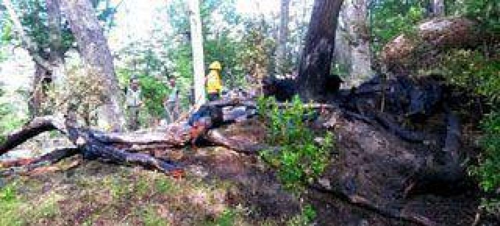 Principio de incendio en el Parque Los Glaciares