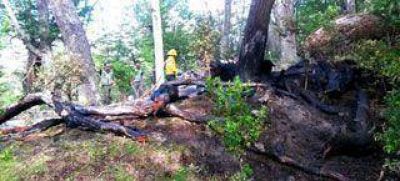 Principio de incendio en el Parque Los Glaciares