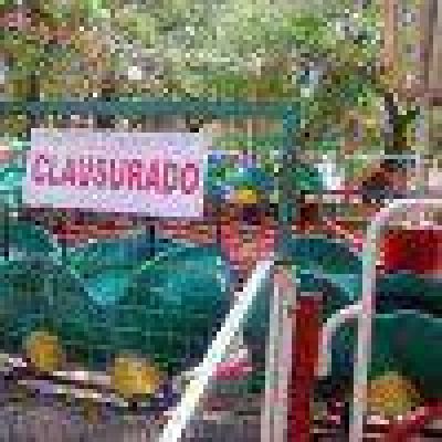 �Enloqueci� el gusano y casi produjo una tragedia