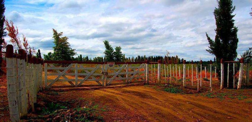 Fincas y bodegas sanrafaelinas a la venta en el �mercado extranjero�