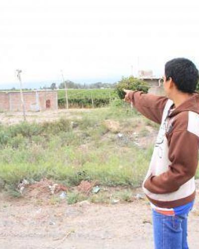 Fue a un asado, lo picaron las abejas y termin� muerto