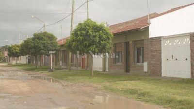 Matan a los perros, lo golpean y amenazan a su familia: 
