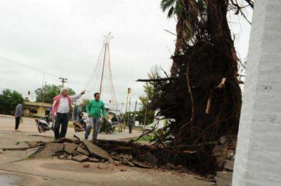 Fuertes vientos provocaron nueva ca�da de �rboles, postes y cortes de luz en Pinedo