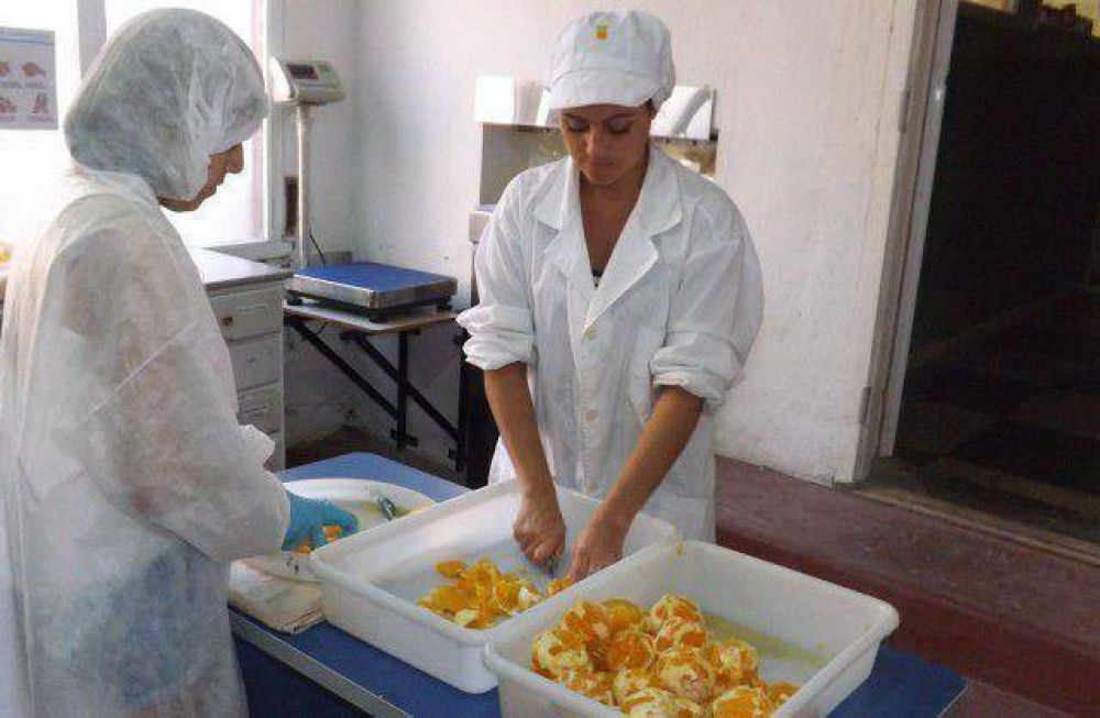 La Educaci�n T�cnica municipal avanza con sus proyectos productivos 