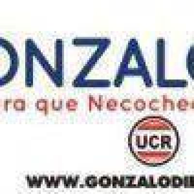 Primera reuni�n de campa�a de Gonzalo Diez