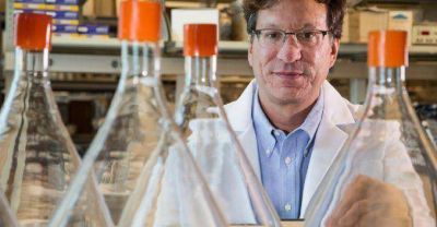 Cient�ficos dieron con una droga que podr�a servir como cura del Sida