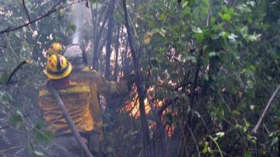 Chubut: los incendios forestales ya arrasaron 4.500 hect�reas