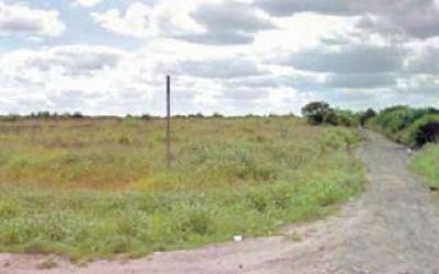 Hallaron un cuerpo descuartizado en un predio en Merlo