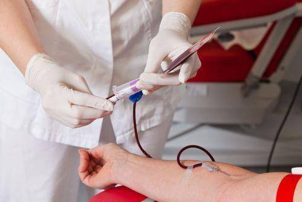 Se increment� el porcentaje de donantes voluntarios de sangre del 22 al 26 %