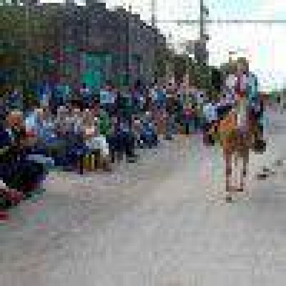 Comenz� la 39� edici�n de la Fiesta Provincial del Girasol