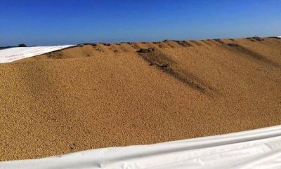Nuevo ataque al campo: apareci� otro silo bolsa roto