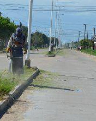 Desmalezado y limpieza en diferentes sectores de la ciudad