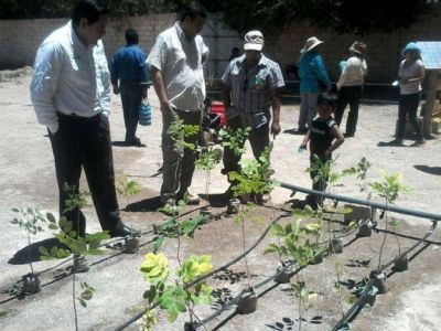 M�S APOYO A LOS PRODUCTORES AGR�COLAS