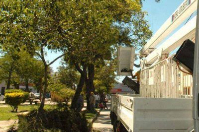 Realizan tareas de mantenimiento en espacios verdes