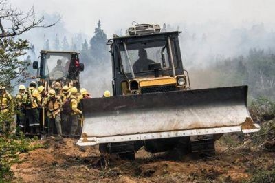 Se quemaron más de 16.500 hectáreas y declaran la 
