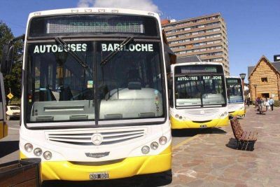 Juntan firmas para que el transporte urbano sume unidades para discapacitados