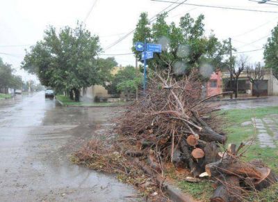 Villa Mercedes: la tormenta dej� cortes de luz, �rboles ca�dos y casas anegadas