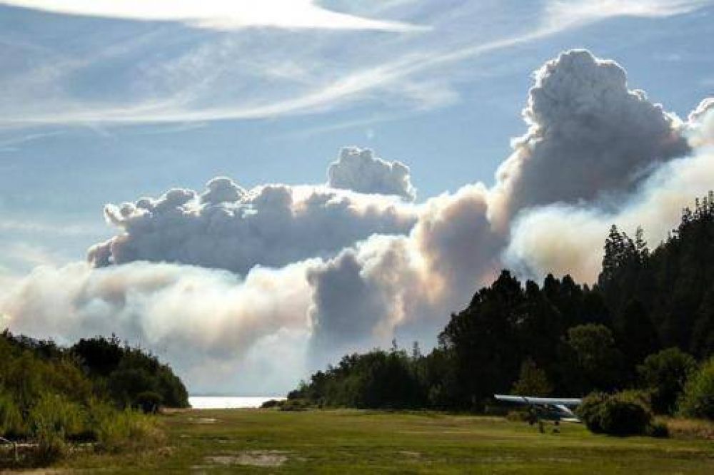 Los incendios de bosques nativos no disminuyen su intensidad y ya consumieron 20.000 hectreas