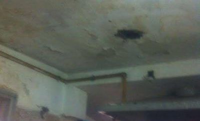 En la escuela 511 denuncian la presencia de ratas y filtraciones en los techos