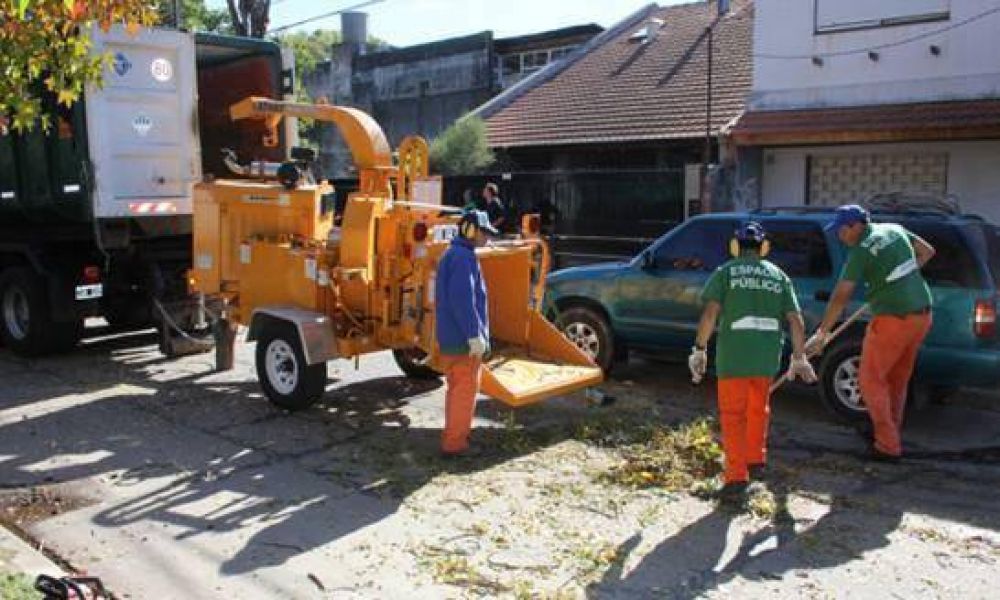 Comienza la campa�a de poda en San Isidro 
