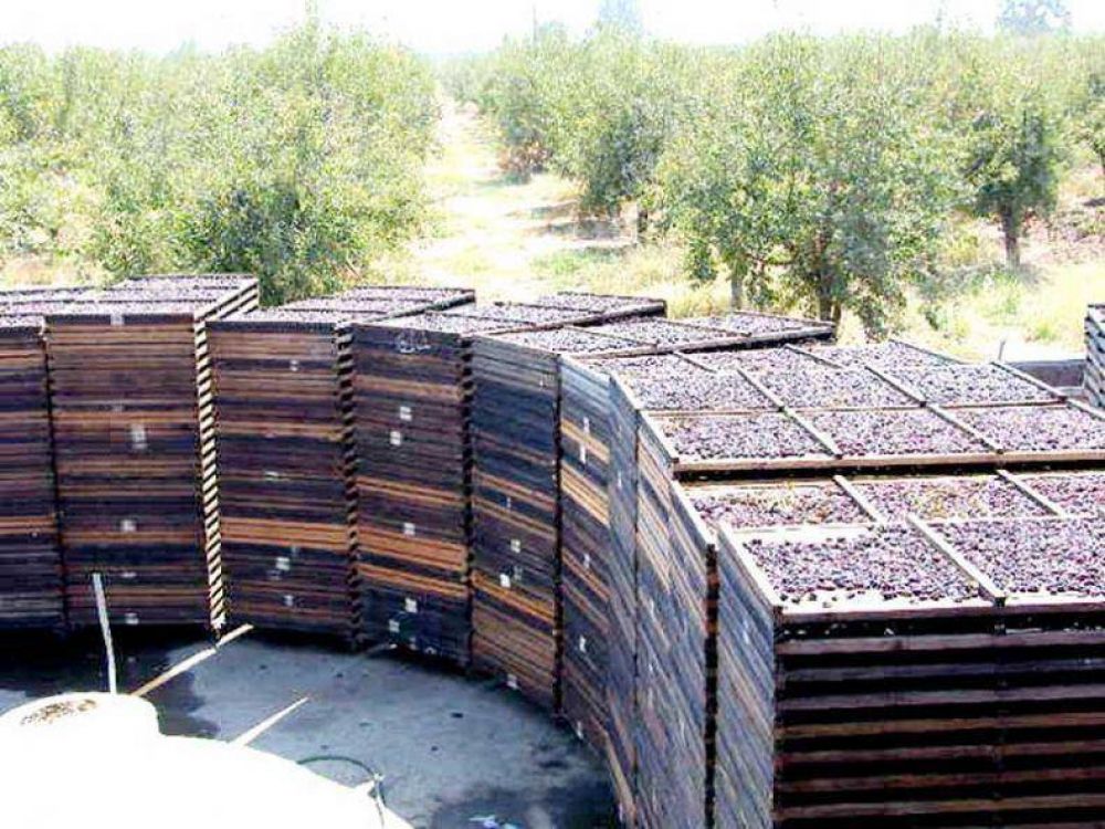 La agricultura local perdi� la mitad de sus exportaciones