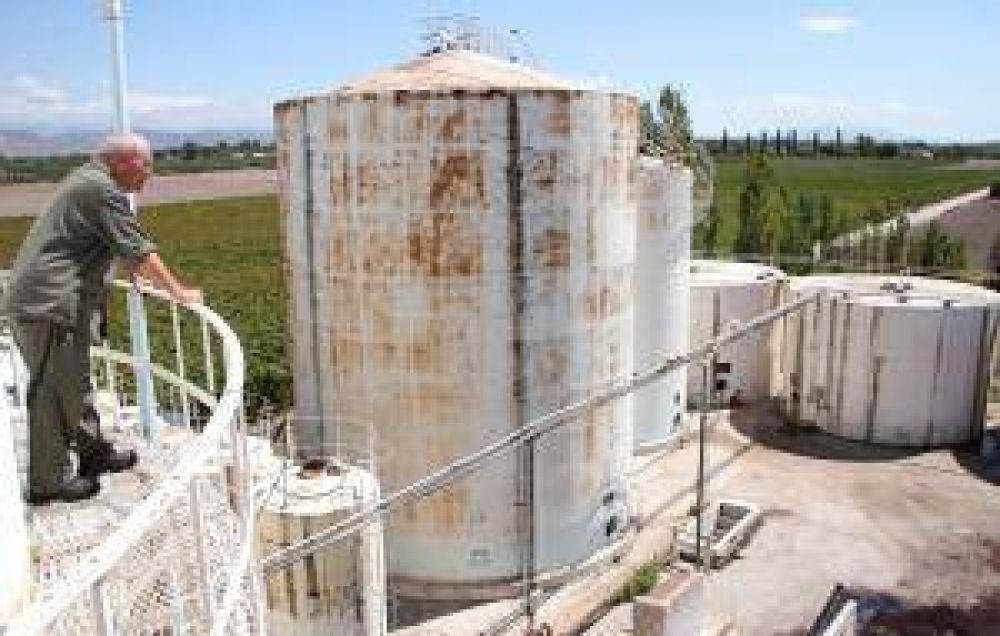 Gobierno logra vender todo el mosto estatal de 2014