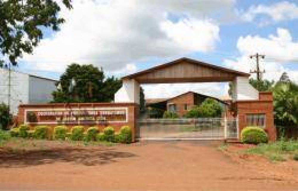 Unos 60 productores yerbateros apuestan a la diversificaci�n productiva