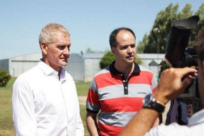 De Narv�ez en Rojas: 
