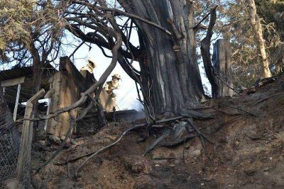 El gobernador no cree que los incendios comenzaran en forma intencional