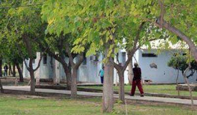Muri� la mujer que hab�a sido violada en el Hospital Mental de Zonda