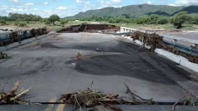 El impacto de la desforestaci�n en las inundaciones