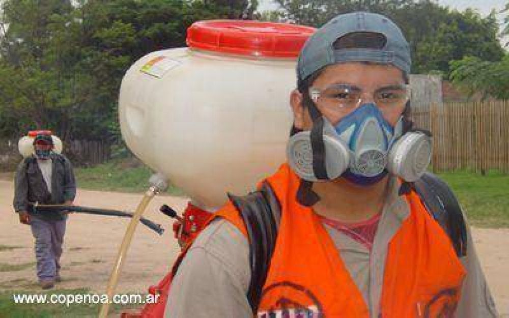 Salta: Preocupacin por el avance en la frontera de casos de fiebre Chikungunya