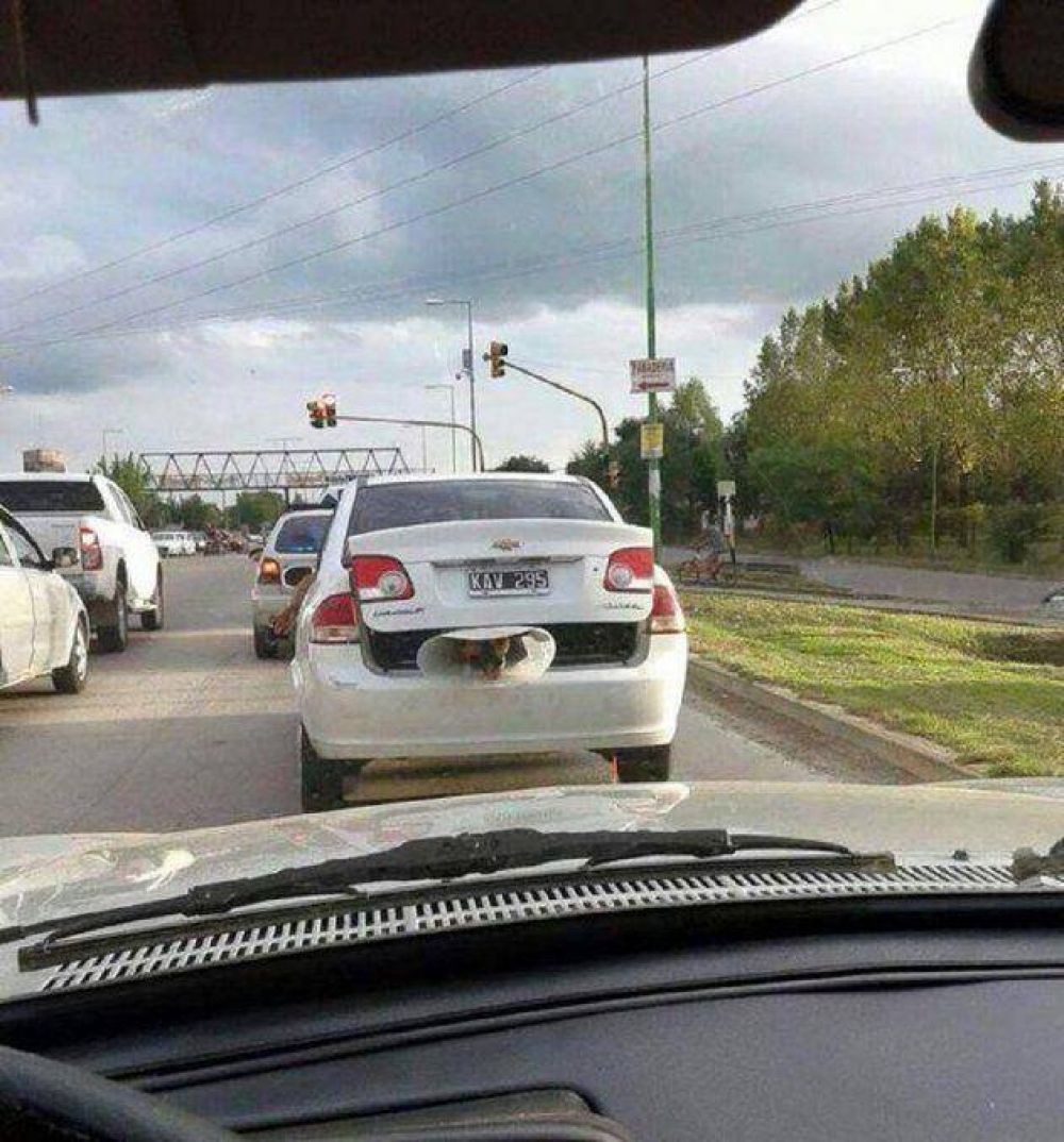 Indignante: un automovilista lleva a un perro en el ba�l del veh�culo