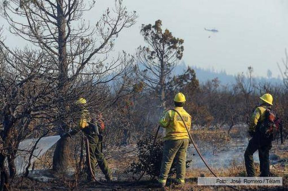 No registra avances el incendio de bosques nativos en Cholila