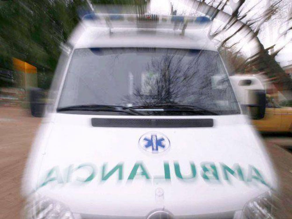 Vendimia 2015: todo lo que ten�s que saber sobre los servicios