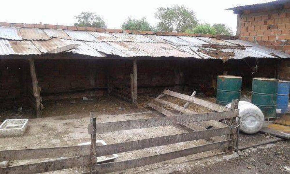 Allanamiento conjunto a una explotaci�n rural