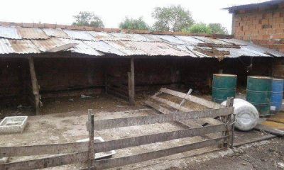Allanamiento conjunto a una explotaci�n rural