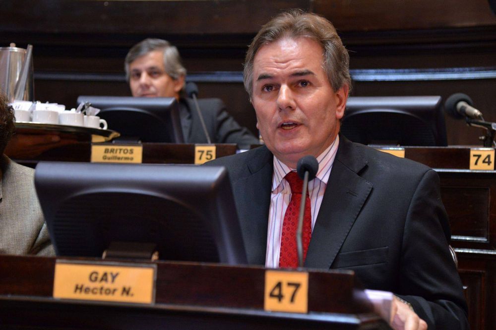 Gay confirm� que Salaberry no se va con De Narvaez: 