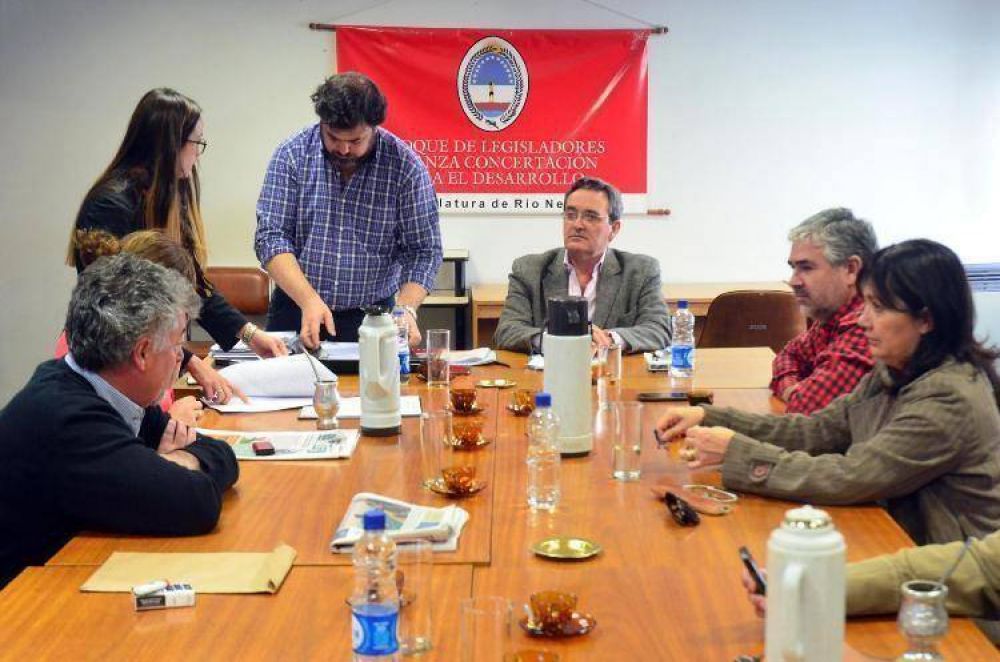 Estocada final para las PASO en la Legislatura