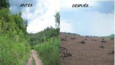 Personas allegadas a Alperovich tuvieron v�a libre para desmontar y dejar medio Tucum�n bajo el agua