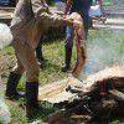 Secuestran 500 kilos de carne sin cadena de fr�o
