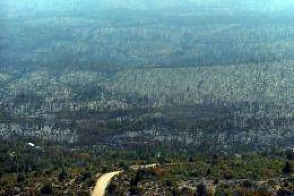 Est controlado el incendio que devast unas 27 mil hectreas en los bosques de Cholila