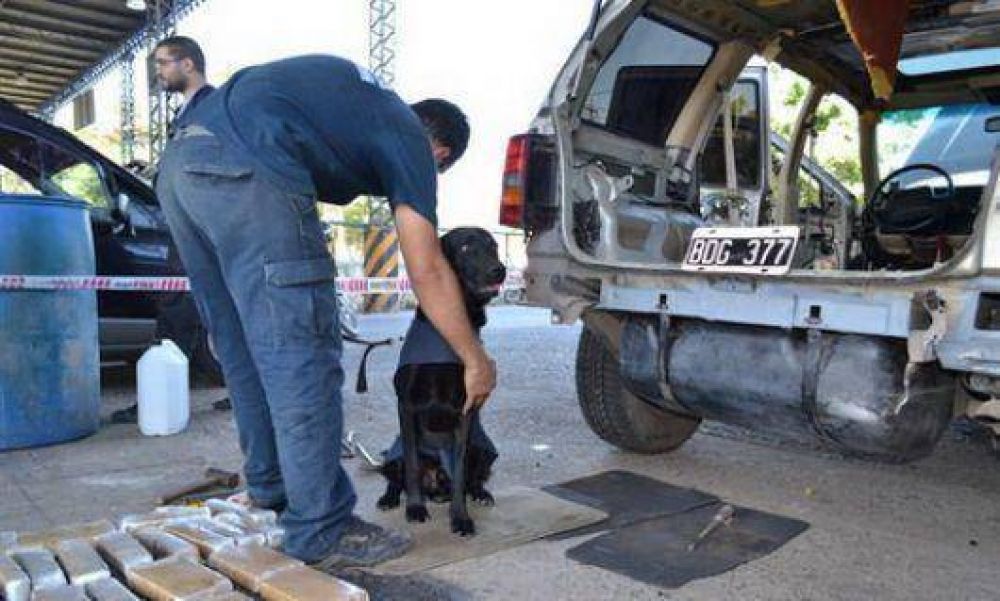 San Pedro: utilizar�n perros para rastrear drogas en los controles de polic�a