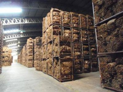 El Gobierno anunci� que habr� un 25% de suba para el tabaco