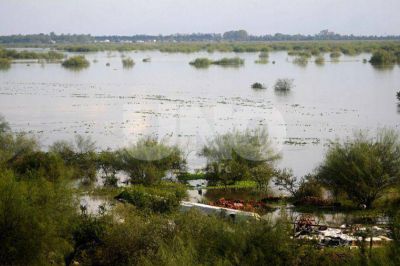 El r�o Salado contin�a en baja y sigue el operativo de asistencia a familias