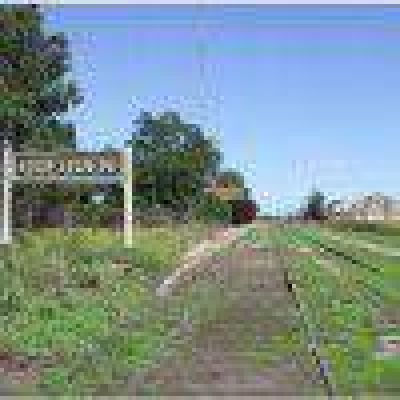 Proyecto de FE para que regrese el tren