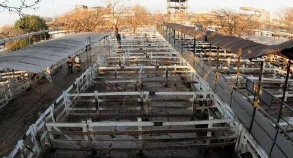 El campo vuelve al paro