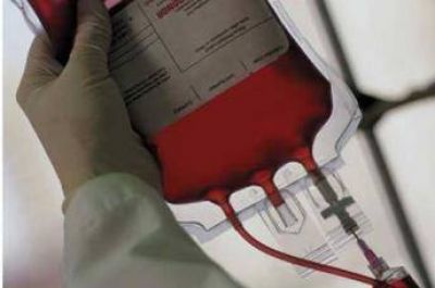 Musulmanes de Pensilvania organizan campa�a de donaci�n de sangre