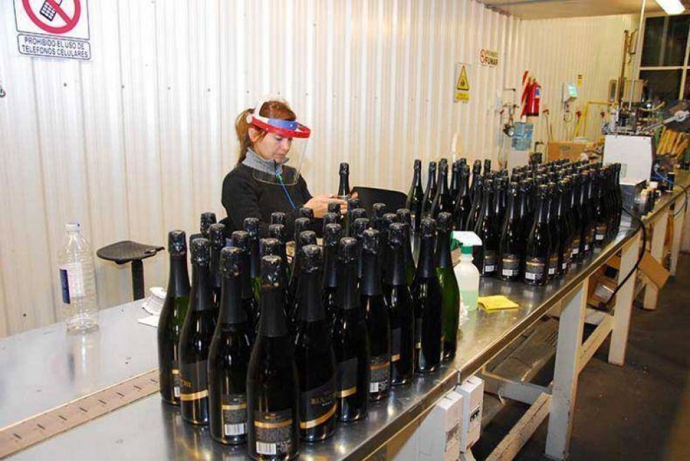 Solo 17 bodegas locales estn elaborando vinos